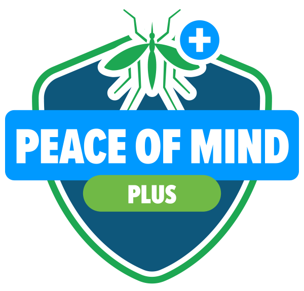 Peace of mind plus package icon