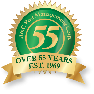 55-year-badge