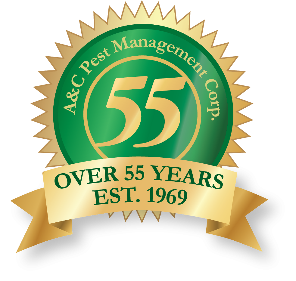 55-year-badge