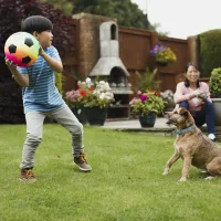 Child and dog playing outside in the lawn