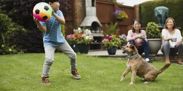 Child and dog playing outside in the lawn