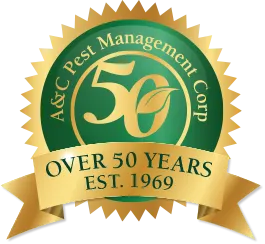 Over 50 Years badge